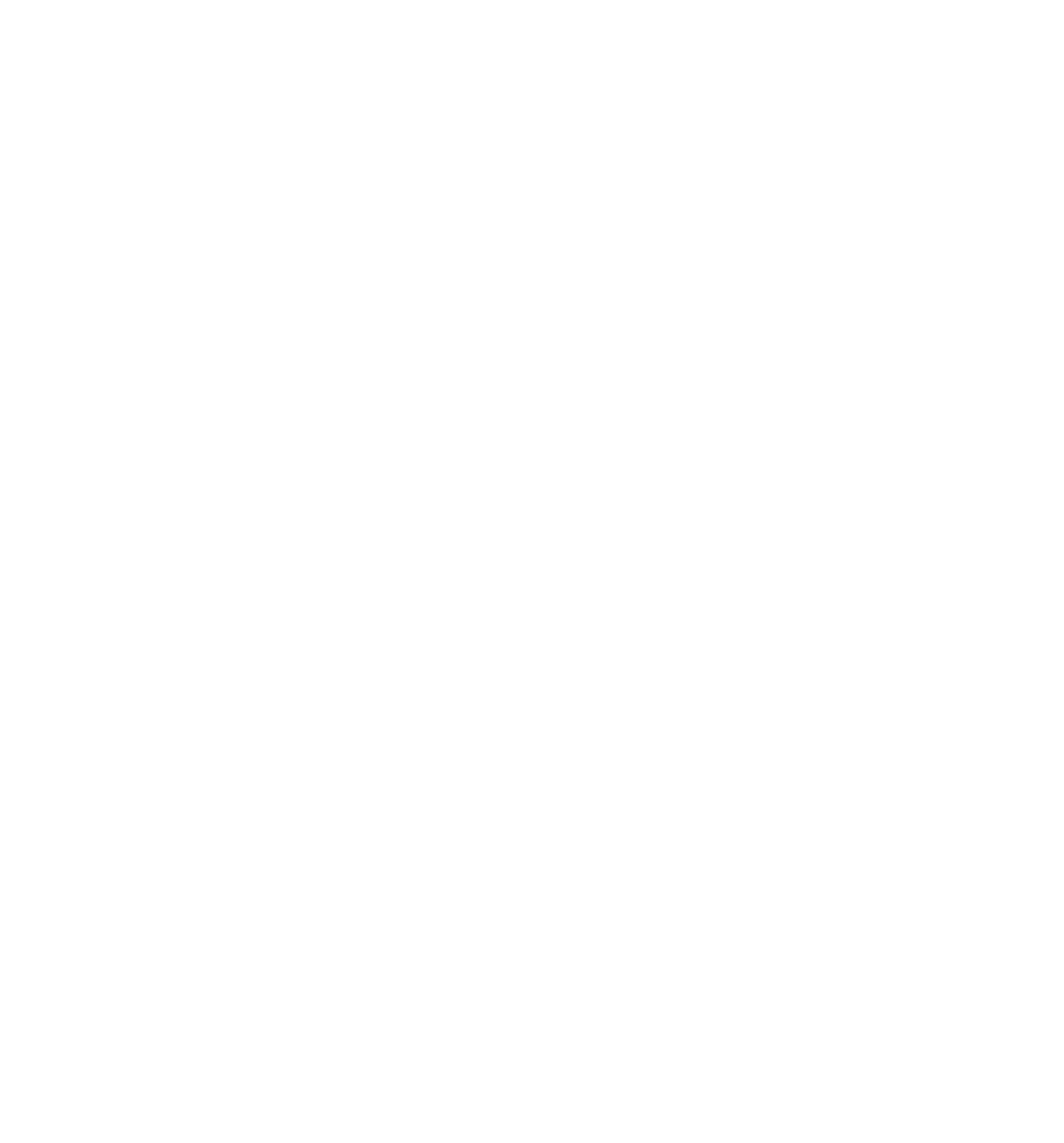 Text Item